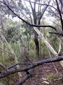 #2: View east from confluence