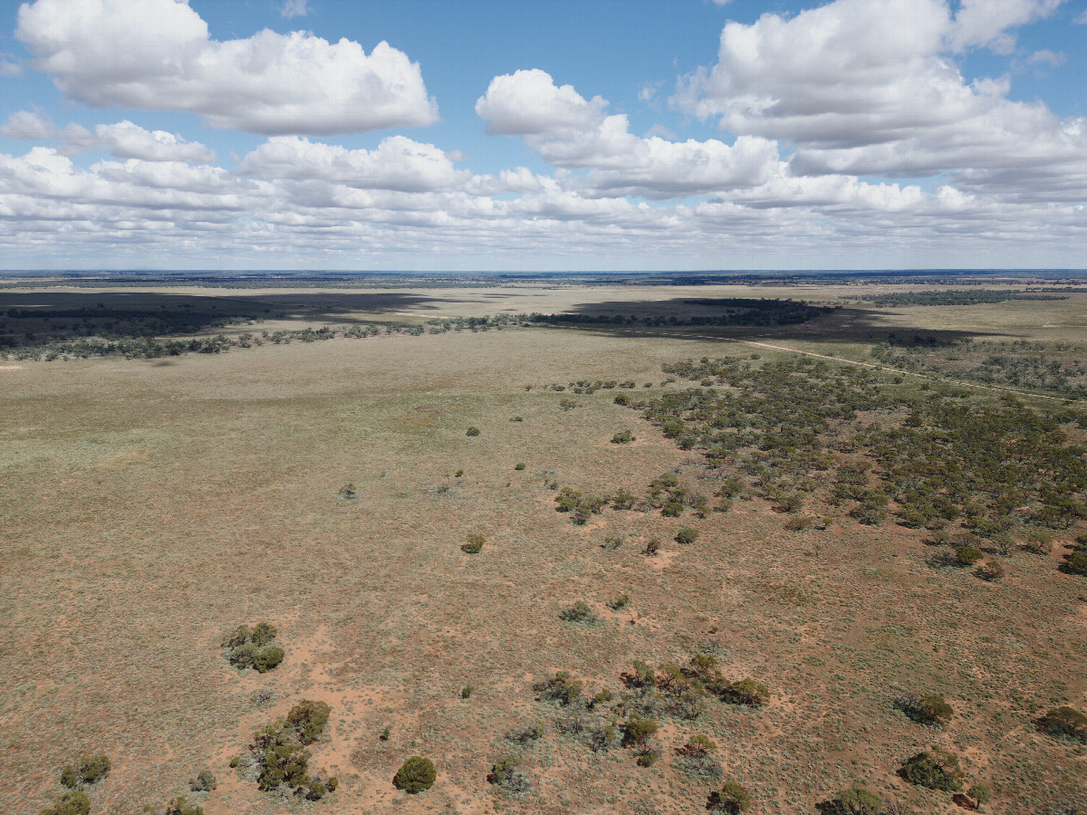 View South, from 120m above the point