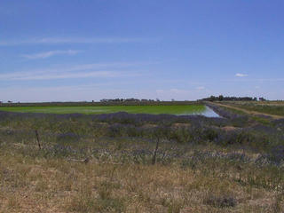 #1: Main view from the confluence