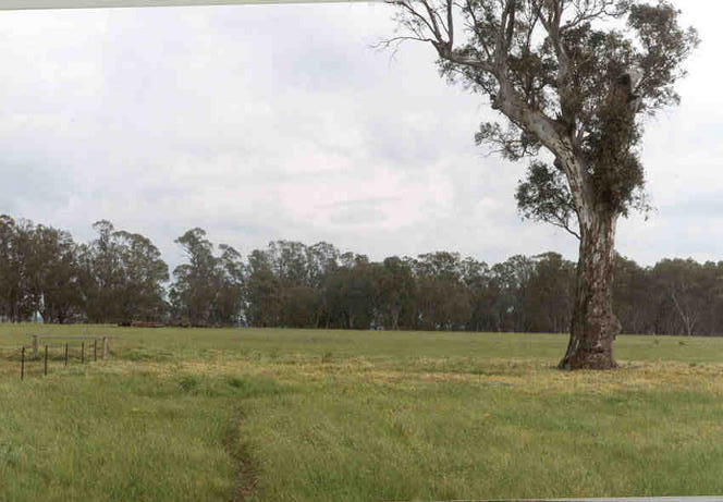 The approach, looking west.