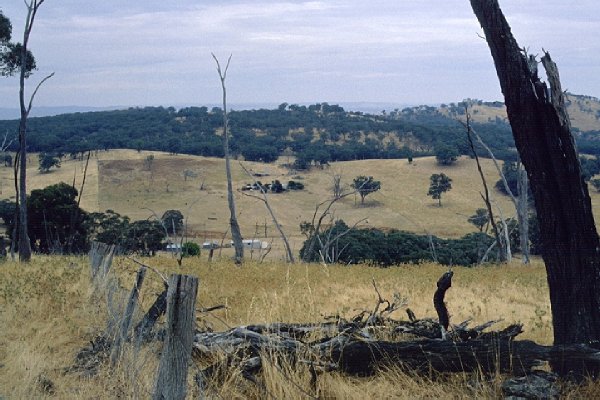 View south from close to the confluence