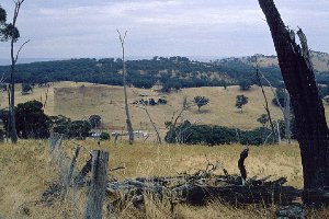 #1: View south from close to the confluence