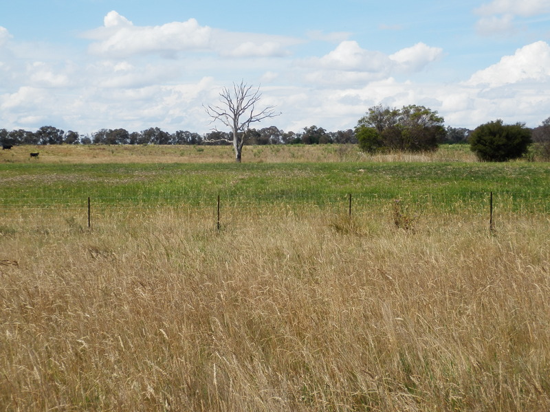 View to the North