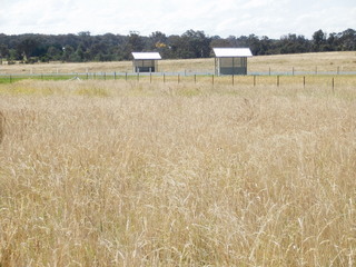 #1: The Confluence from 20 m