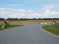 #9: Dead end road 100 m from the confluence point