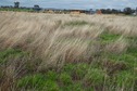 #5: The confluence point lies in this field, which appears to be a (currently unbuilt) lot in a subdivision