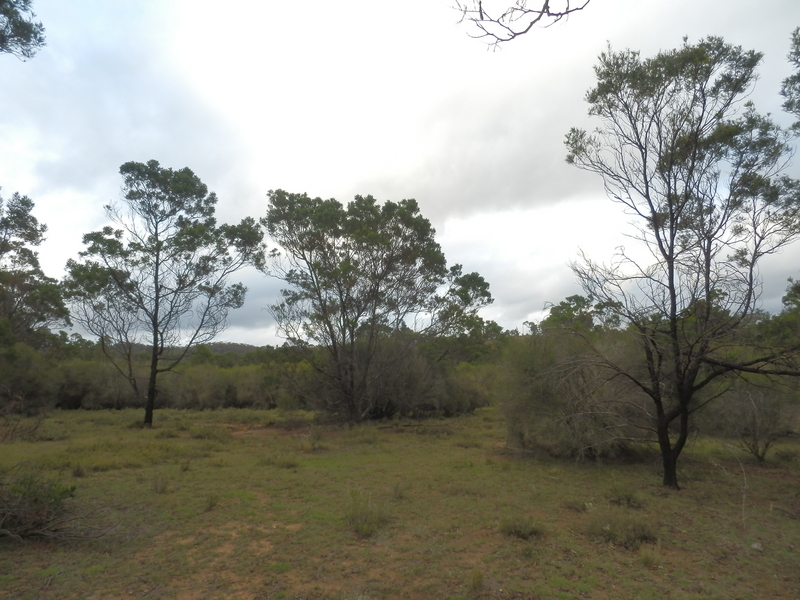 View to the North