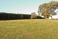 Visit #2: [30-Mar-01]