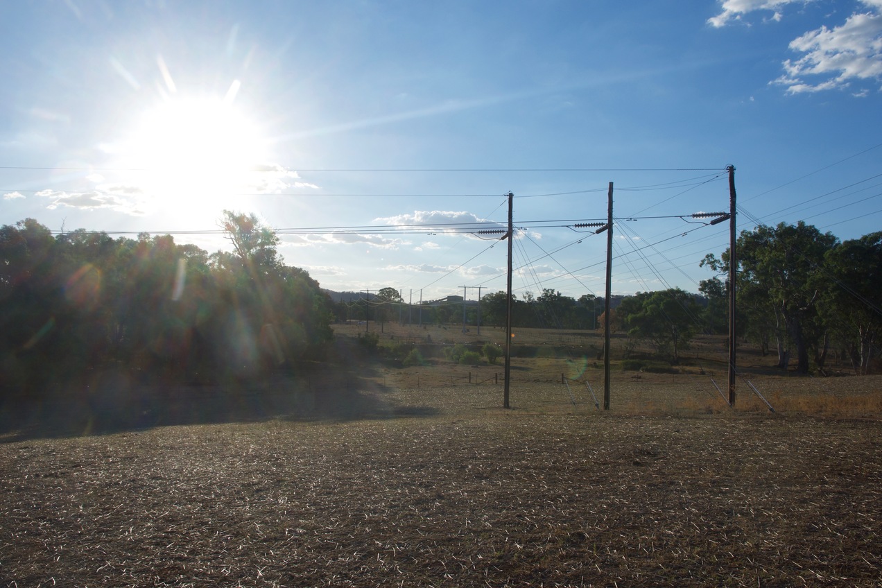 View west (into the setting Sun, towards Davies Road, 400 m away)