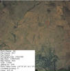 #6: Aerial photo from NSW Department of Land and Property Information