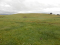 #2: View to the South