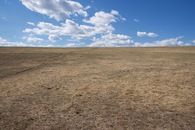 #3: The confluence point is located on a slight slope, in open farmland. (This is also a view to the North.)