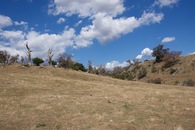 #8: The most interesting feature nearby is this small, wooded hill - about 500m west of the point