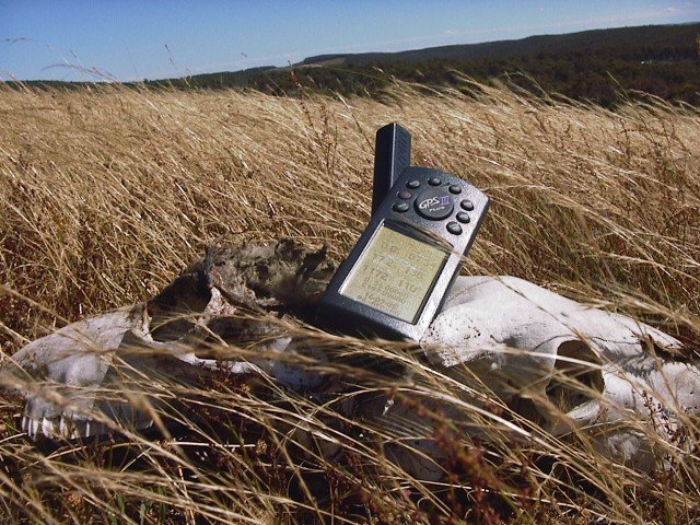 Skulls and a GPS