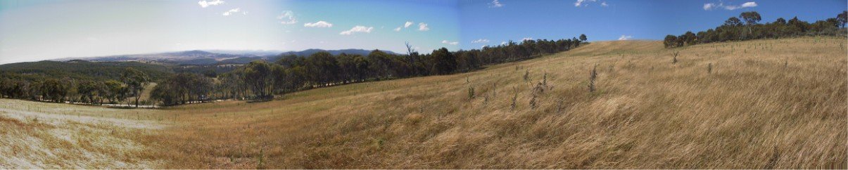 Here is a panoramic shot looking west