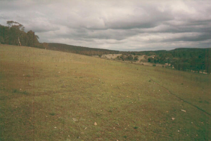 The view south from the confluence point.