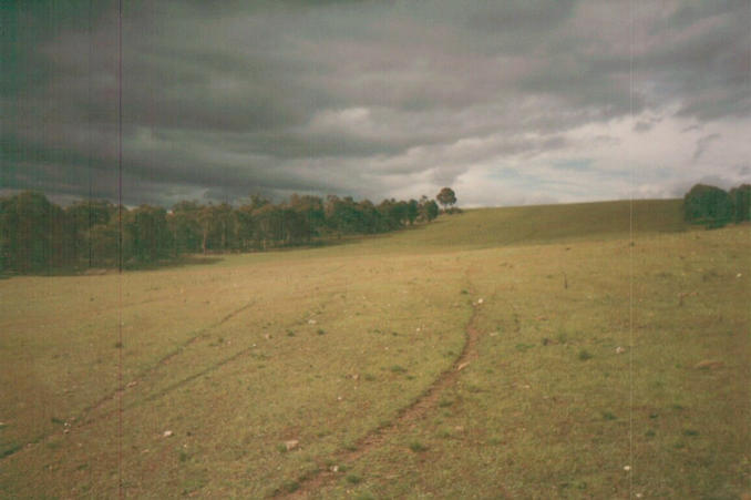 The view north from the confluence point.