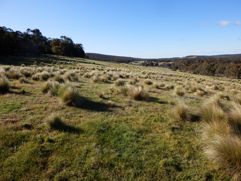 View to the South