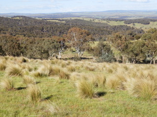 #1: The Confluence from 25 m distance