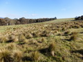 #4: View to the North