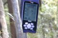 #4: GPS hanging from a tree with the co-ordinates displayed