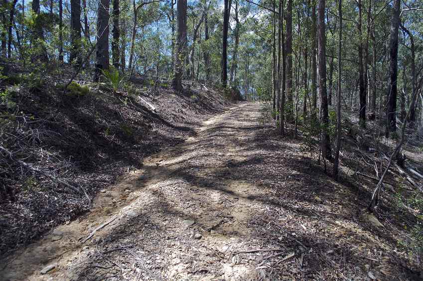 View East (along the fire road)