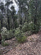 #4: View west from the confluence point