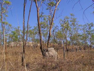 #1: Main view of confluence