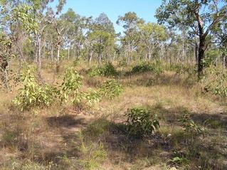 #1: Area around the confluence point