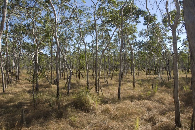 From the confluence point - Facing North