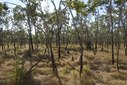 #3: From the confluence point - Facing East