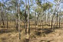 #4: From the confluence point - Facing South