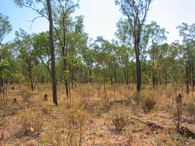 Looking south