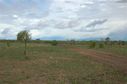 #3: View to the East