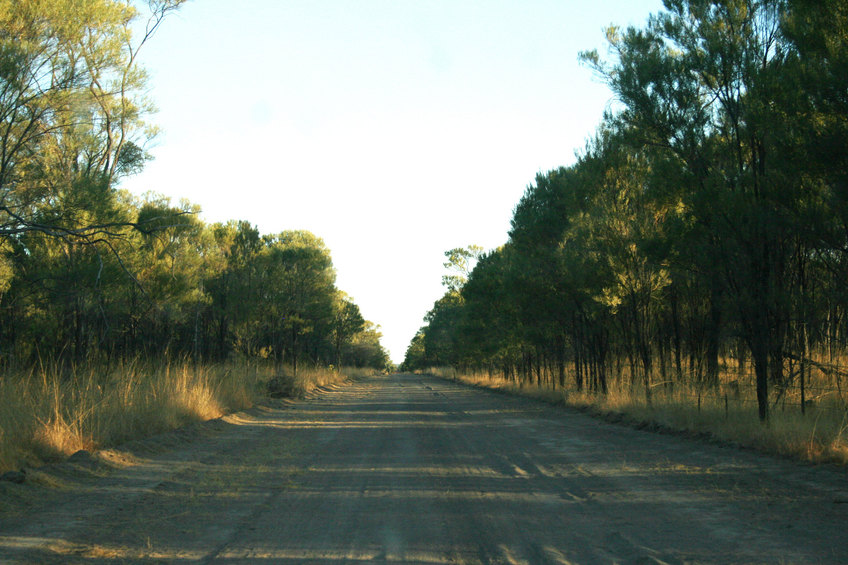 Dirt Road leading to the confluence