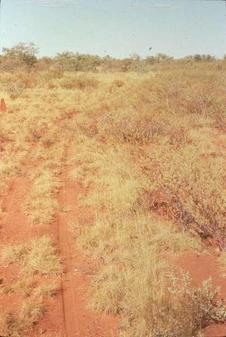 #1: Towards confluence, about 12km to south-east.