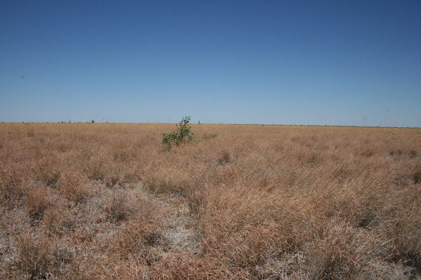 View to south