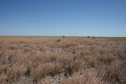 #5: View to west