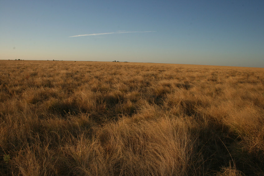 View of confluence looking north