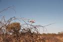 #9: Spiders along the trail