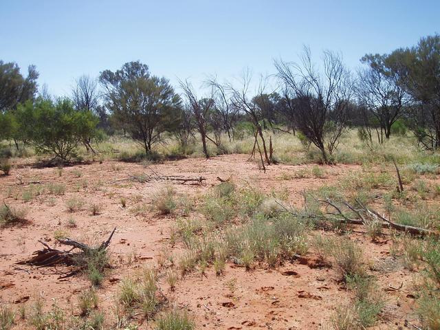 Looking North from 22S 132E