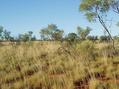 #2: View north from confluence