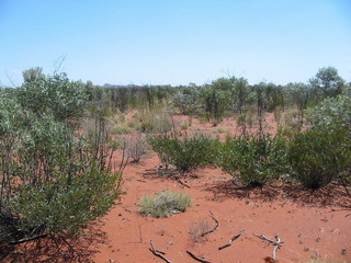 #1: View to confluence from 80m SE