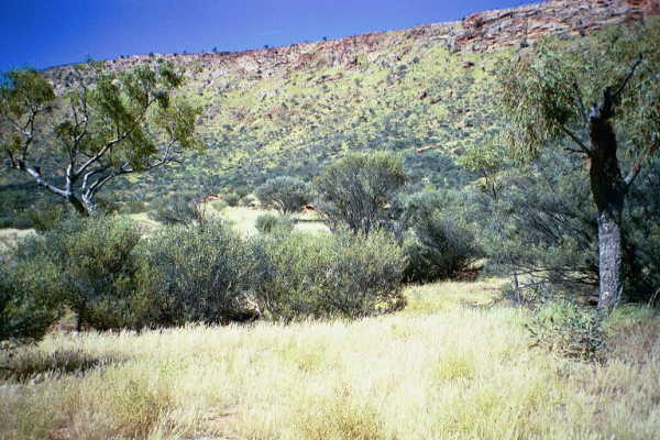 A view of the confluence point, showing nearby hills