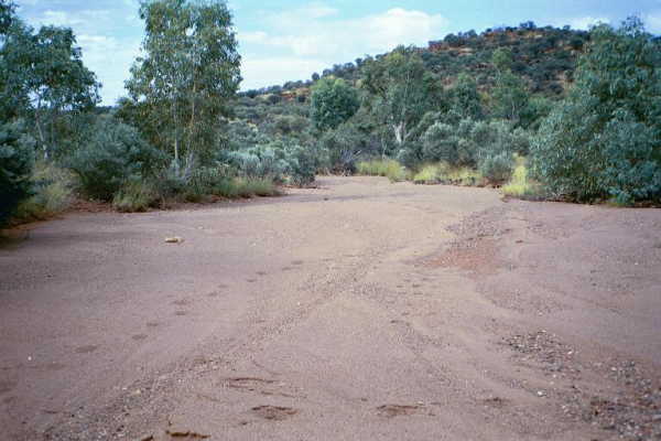 Edwards Creek, on the way to the confluence point