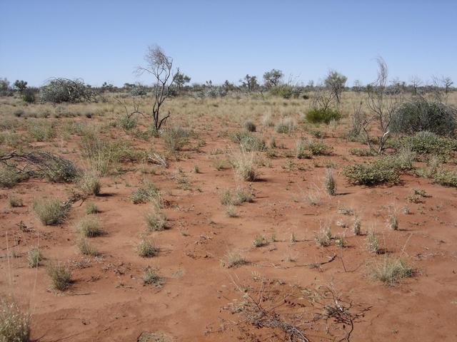 View looking East
