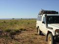 #10: The West Macdonell Ranges in the background