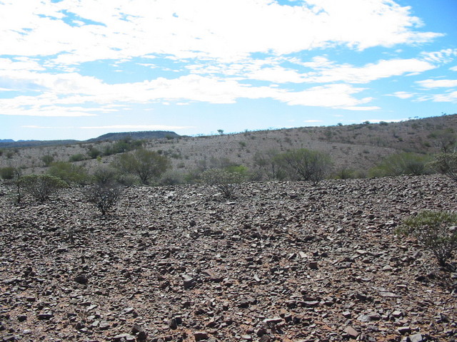 Looking north