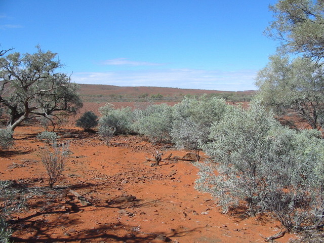 View to confluence from  1.5km west across creekbed