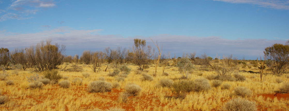 General View of Confluence Area